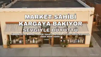 Ümraniye'de Market Sahibi İsrafil Arslan, İyileştirdiği Kargaya "Paşa" Adını Vererek Sevgiyle Bakıyor