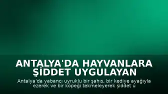 Antalya'da Hayvanlara Şiddet Uygulayan Yabancı Uyruklu Şahıs Gözaltına Alındı