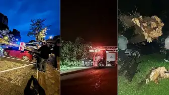 Bartın'da Fırtına Nedeniyle Ağaçlar Devrildi, Araçlar Hasar Gördü