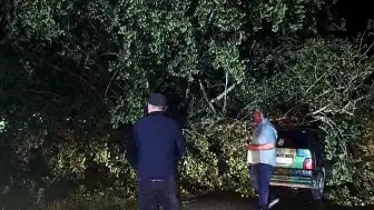 Bartın'da Şiddetli Fırtına: Ağaçlar Otomobillerin Üzerine Devrildi, Maddi Hasar Oluştu