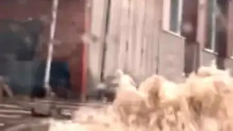 Bilecik'in Bozüyük İlçesinde Şiddetli Sağanak Sele Neden Oldu