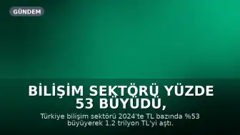 Bilişim Sektörü Yüzde 53 Büyüdü, Küresel Pastadan Aldığı Pay Artmadı