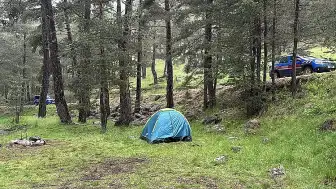 Bolu'da Ormana Yıldırım Düşmesiyle 3 Kişi Yaralandı