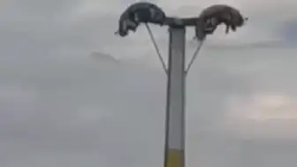 Buca'da Lunapark Kabusu: Bayramda Eğlence Aletleri Arızalandı, Vatandaşlar Havada Asılı Kaldı