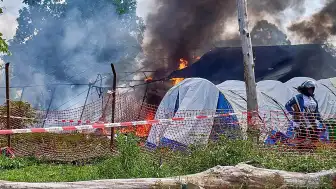Demokratik Kongo Cumhuriyeti'nde Ebola Salgınıyla Mücadele Halkın Güven Eksikliğiyle Karşılaşıyor