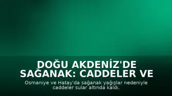 Doğu Akdeniz'de Sağanak: Caddeler ve Sokaklar Su Altında Kaldı, Bazı Vatandaşlar Yüzerek Evlerinden Ayrıldı