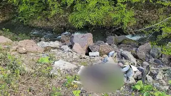 Düzce Yaylasında Bıçaklanmış Erkek Cesedi Bulundu