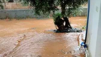 Gaziantep'in İslahiye İlçesinde Sağanak Sonucu Oluşan Taşkınlara Müdahale Ediliyor