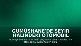 Gümüşhane'de Seyir Halindeki Otomobil Alev Aldı