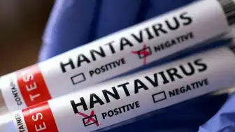 Hantavirüs Endişesi: Arjantin'den Gelen 3 Türk Vatandaşı Karantinada