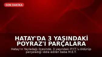 Hatay'da 3 Yaşındaki Poyraz'ı Parçalara Ayırdığı İddia Edilen Baba Tutuklandı