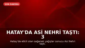 Hatay'da Asi Nehri Taştı: 3 Kişi Hayatını Kaybetti, 3 Yaralı, 2 Kayıp