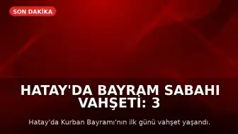 Hatay'da Bayram Sabahı Vahşeti: 3 Yaşındaki Çocuk Hayatını Kaybetti, Baba Gözaltında