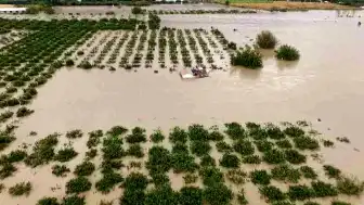 Hatay'da Sel Sonrası Tarım Arazilerinde Ağır Hasar: Sular Çekildi, Zarar Ortaya Çıktı