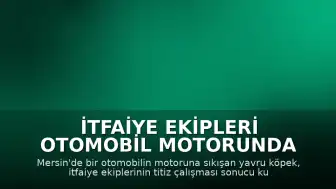 İtfaiye Ekipleri Otomobil Motorunda Sıkışan Yavru Köpeği Kurtardı