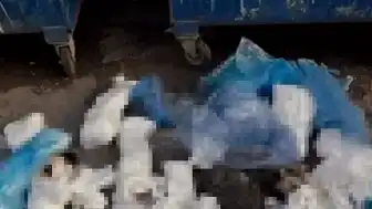 İzmir'de 33 Kedi Ölümüyle İlgili Veteriner Hekim H.E. Tutuklandı