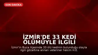 İzmir'de 33 Kedi Ölümüyle İlgili Veteriner Hekim Yeniden Gözaltına Alındı