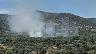 İzmir'in Bayındır İlçesinde Zeytinlik Alanda Yangın Çıktı