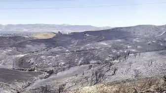 Kaliforniya'da Orman Yangını Günlerdir Sürüyor, Binlerce Kişi Tahliye Edildi