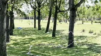 Küçükçekmece'de Polise Silahlı Saldırı Girişimi: Şüphelilerin Çantasından Kalaşnikof Tüfek Çıktı