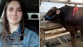 Kurban Bayramı Sonrası Hayvan Pazarlarında Fiyat Düşüşü ve Etik Tartışma