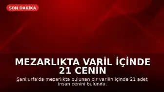 Mezarlıkta Varil İçinde 21 Cenin Bulundu