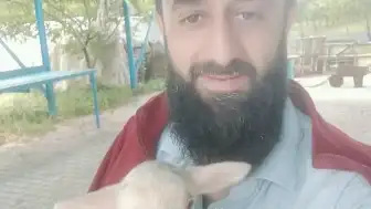 Orhangazi'de Zincirleme Kaza: 1 Kişi Hayatını Kaybetti, 4 Yaralı