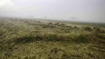 Osmaniye'de Sağanak Nedeniyle Sular Altında Kalan Evden Yaşlı Kadın Kurtarıldı