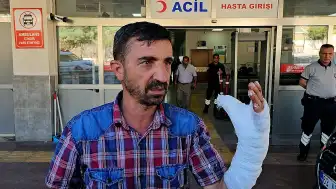 Şanlıurfa'da Kurban Kesimi Sırasında 232 Kişi Yaralandı