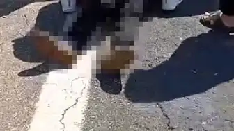 Şanlıurfa'da Kurbanlık Yüklü Kamyonet Devrildi: 1 Kişi Hayatını Kaybetti, 1 Kişi Yaralandı