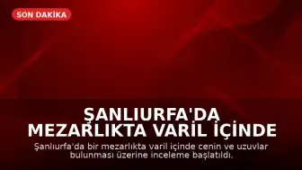 Şanlıurfa'da Mezarlıkta Varil İçinde Cenin Bulunmasıyla İlgili İnceleme Başlatıldı