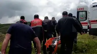 Sivas'ta Mantar Toplarken Ayı Saldırısına Uğrayan Vatandaşın Parmağı Koptu