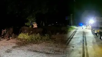 Tokat'ta Köy Sakinleri Taşkın Riski Nedeniyle Tahliye Ediliyor