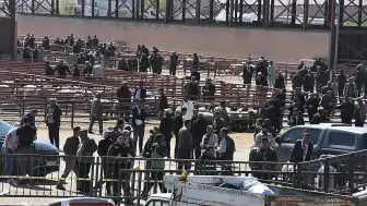 Van Hayvan Pazarı'nda Çıkan Kavgada 1 Kişi Hayatını Kaybetti, 13 Kişi Yaralandı