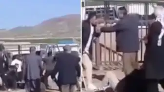 Van Hayvan Pazarı'nda Kanlı Kavga: 1 Ölü, 13 Yaralı