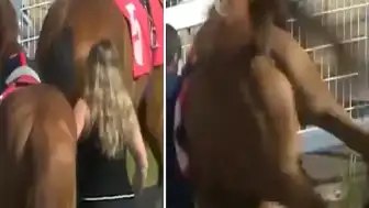 Yarış Atı Tarafından Tekmelenen Ahır Çalışanı Hafif Yaralandı