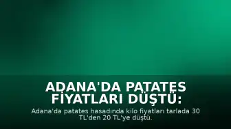 Adana'da Patates Fiyatları Düştü: Tarlada Kilosu 20 TL'ye Geriledi