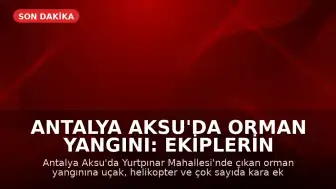 Antalya Aksu'da Orman Yangını: Ekiplerin Müdahalesi Sürüyor