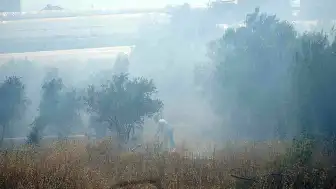 Antalya'da Çıkan Yangın Seralara Ulaşmadan Söndürüldü