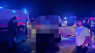 Bingöl'de Trafik Kazası: Ata Çarpan Panelvanın Yolcularından Biri Hayatını Kaybetti, 2 Yaralı