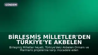 Birleşmiş Milletler'den Türkiye'ye Akbelen Ormanı ve Marmaris Konusunda Uyarı