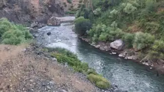 Bitlis Mutki'de dereye giren 3 kardeşten 1'i yaşamını yitirdi, 1'i kayıp
