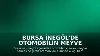 Bursa İnegöl'de otomobilin meyve bahçesine girmesi sonucu 4 kişi yaralandı