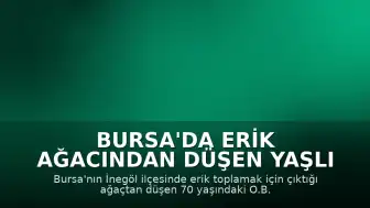 Bursa'da Erik Ağacından Düşen Yaşlı Adam Yaralandı