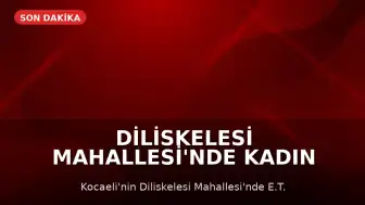 Diliskelesi Mahallesi'nde Kadın Sokak Ortasında Bıçaklanarak Öldürüldü