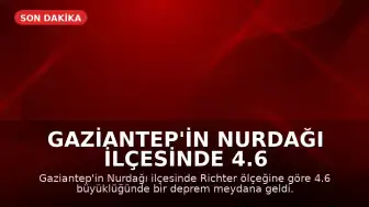 Gaziantep'in Nurdağı ilçesinde 4.6 büyüklüğünde deprem kaydedildi