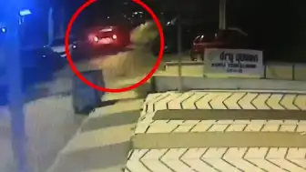 İBB Kültür A.Ş. Genel Müdür Yardımcısı Erhan Karaal'ın kaçırılması soruşturmasında gözaltı sayısı 12'ye çıktı