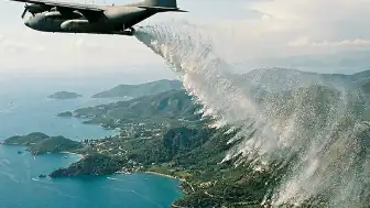 İzlanda'da Erozyonla Mücadele İçin Kullanılan Bitki Yeni Bir Ekolojik Kriz Yarattı