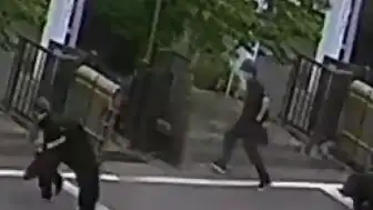 Japonya'da Ayı Saldırıları Sonucu Eğitime Ara Verildi