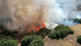 Manisa Kula'da çıkan maki yangını 15 dönümlük alanı tahrip etti